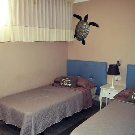 Apartament Del Camison Daire Playa de las Américas